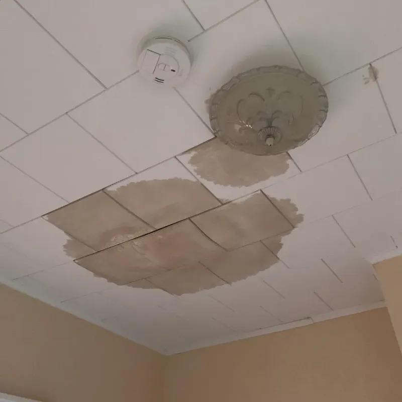 Ceiling Water Damage Repair in Wheeling, WV
